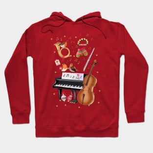 Christmas joy with singing robins and music instruments Hoodie